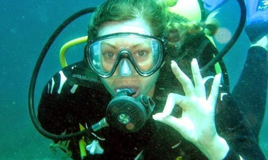 Viajes de buceo en La Mira, Venezuela