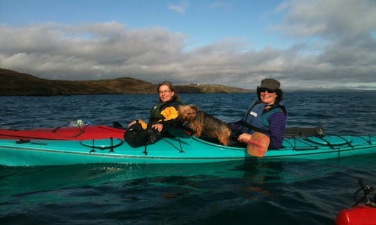 Aventura de caiaque costeiro em Skibbereen, West Cork, Irlanda