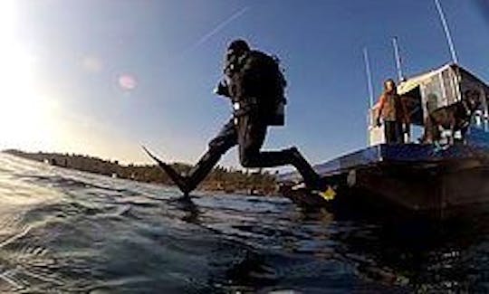 25' Pontoon "Silent Diver" Diving Trips in Brockville, Canada