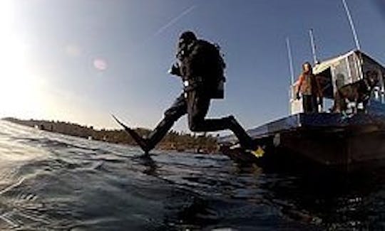 Passeios de barco de mergulho em Brockville, Canadá