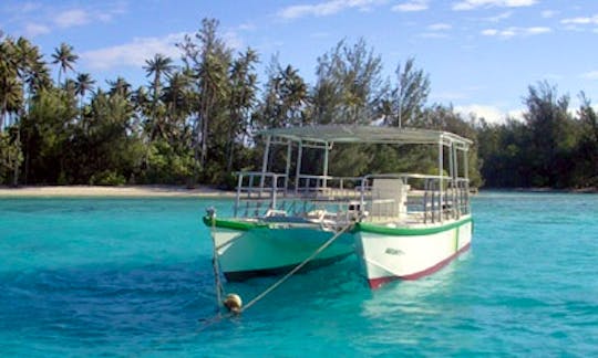 Power Catamaran Trips in Papeotai, French Polynesia