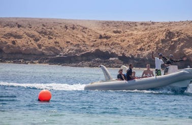 Diving Trips & Courses in Qesm Marsa Alam, Egypt
