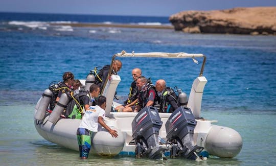 Diving Trips & Courses in Qesm Marsa Alam, Egypt