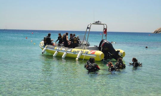 Scuba Dive in Mykonos ! The best thing you will do on your holiday!
