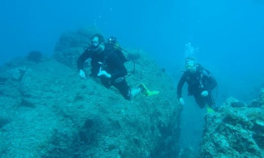 Scuba Dive in Mykonos ! The best thing you will do on your holiday!