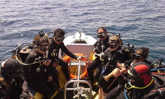 Scuba Dive in Mykonos ! The best thing you will do on your holiday!