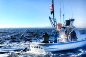 35' Head Boat Fishing Trips in Milford, Massachusetts