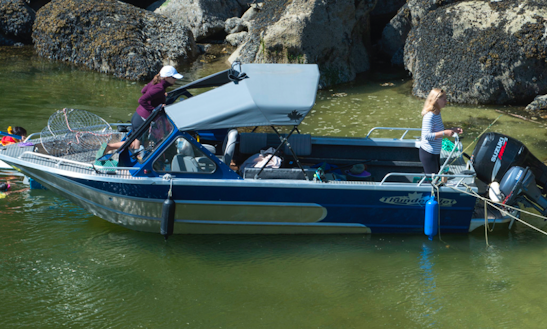 Kayak Rentals Stock Photos & Kayak Rentals Stock Images ... Boat Rentals in Southern Gulf Islands