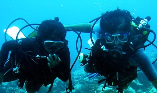 Buceo en Goa