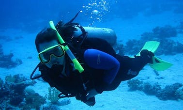 5-Day Diving Trips in Dahab, Egypt