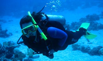 5-Day Diving Trips in Dahab, Egypt