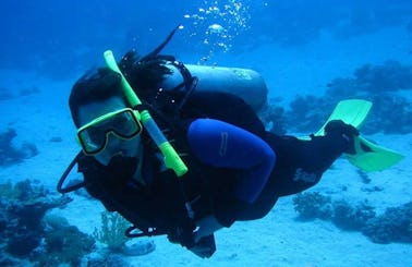 5-Day Diving Trips in Dahab, Egypt