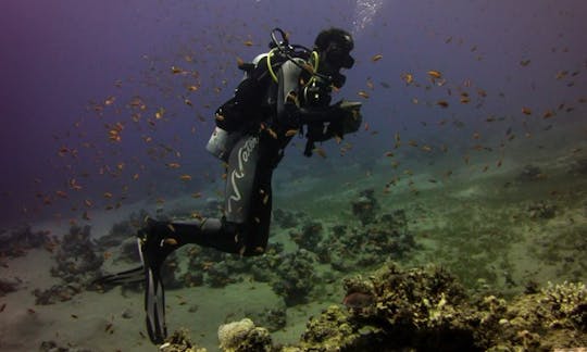 5-Day Diving Trips in Dahab, Egypt