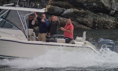 Alquiler de pescadores deportivos en Comox-Strathcona J