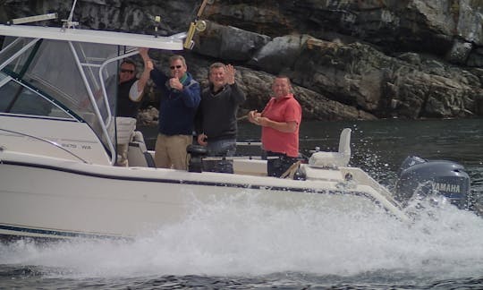 Sport Fisherman Charter in Comox-Strathcona J