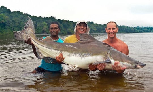 wonotobo-falls , 221 pound piraiba