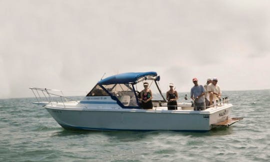 30' Sport Fishing Charter In Kelleys Island, Ohio