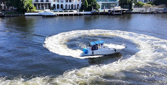 todas as tarifas incluem Captain- Charter In Style - SeaRay 260 Sundancer