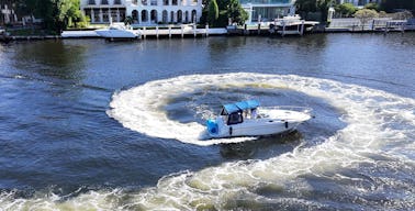 todas las tarifas incluyen Captain- Charter In Style - SeaRay 260 Sundancer