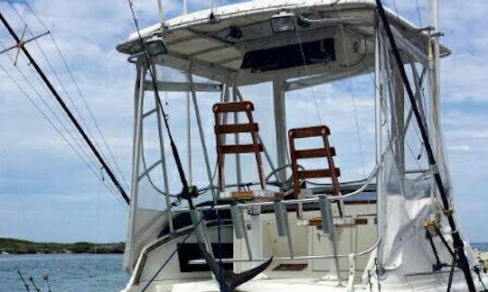 Charte de pêche Cofresi sur un bateau de 34 pieds ou un bateau de 50 pieds