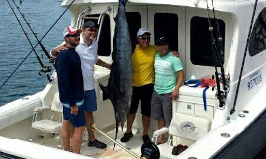 Cofresi Fishing Charter On 34ft Boat  or  50ft Boat