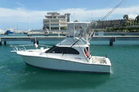 Cofresi Fishing Charter On 34ft Boat  or  50ft Boat