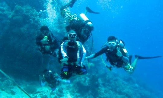 Scuba Diving In Panglao Island