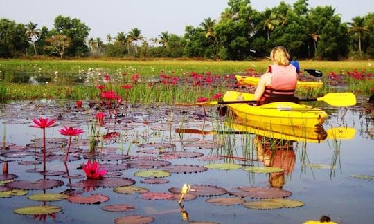 Faire du kayak à Goa en Inde