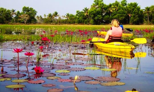 Kayaking in Goa-INDIA