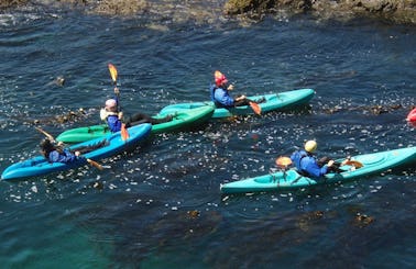 Kayak Tours & Classes in Little River