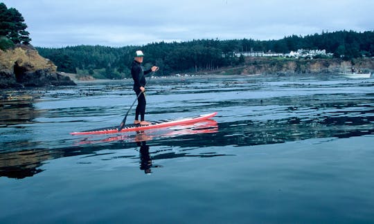 SUP Rental, Lessons  Tours in Little River