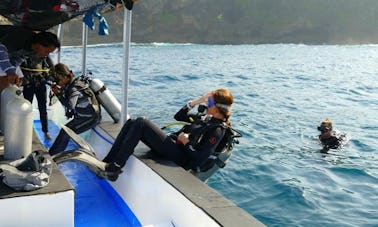 Try Scuba Diving in Nusa Lembongan