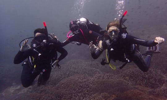 Experimente o mergulho em Nusa Lembongan