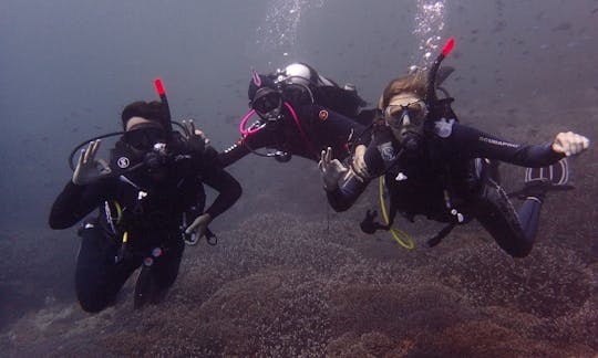 Try Scuba Diving in Nusa Lembongan