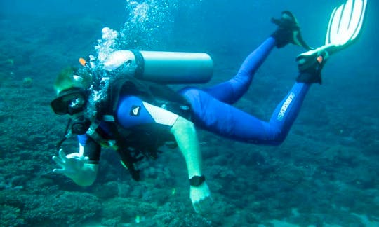 Try Scuba Diving in Nusa Lembongan