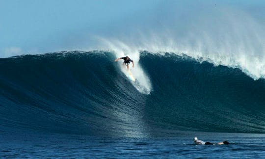 Learn Surfing On Nusa Lembongan