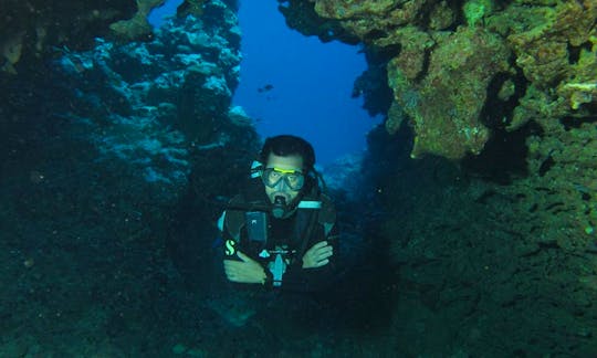 Discover Scuba Diving In Caledonia