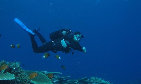 Discover Scuba Diving In Caledonia