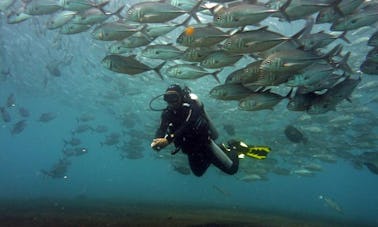 Discover Scuba Diving on the Liberty Shipwreck + free underwater photos