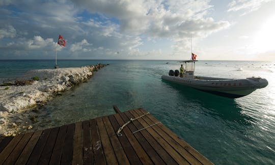 Diving in Rangiroa