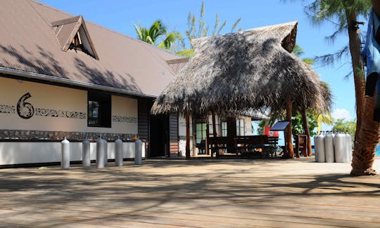 Diving in Rangiroa