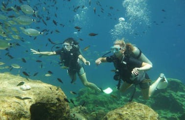 Diving in Kaštel Makariou