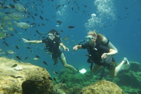 Diving in Kaštel Makariou