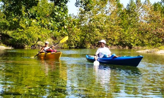 Amazing 4 Miles Guided Kayak Trips on James River in Cass Township, Missouri