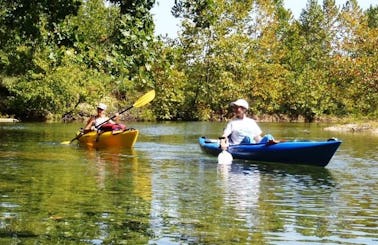 Amazing 4 Miles Guided Kayak Trips on James River in Cass Township, Missouri