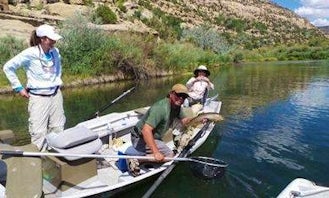 Fishing Trips in Navajo Dam, New Mexico
