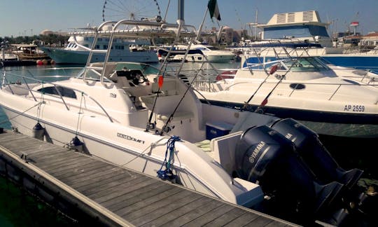 "Alpha", 33 foot silver craft in Abu Dhabi operated