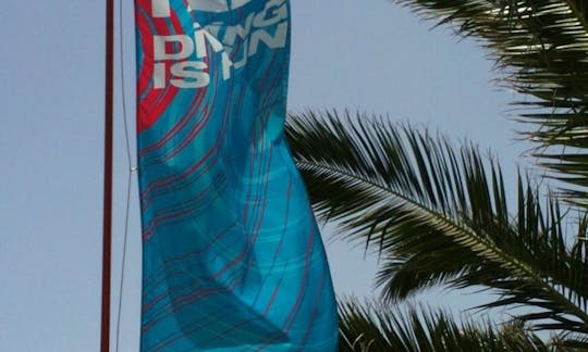 Descubra o Scuba Diving PADI