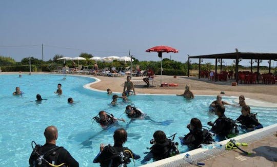 Descubra o Scuba Diving PADI
