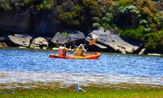 Double Sit-On-Top Kayak Hire in Margaret River, Australia